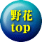 野花 top