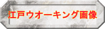江戸ウオーキング画像