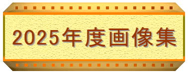 2025年度画像集