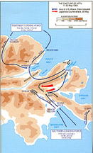 image11.jpg image11.jpg